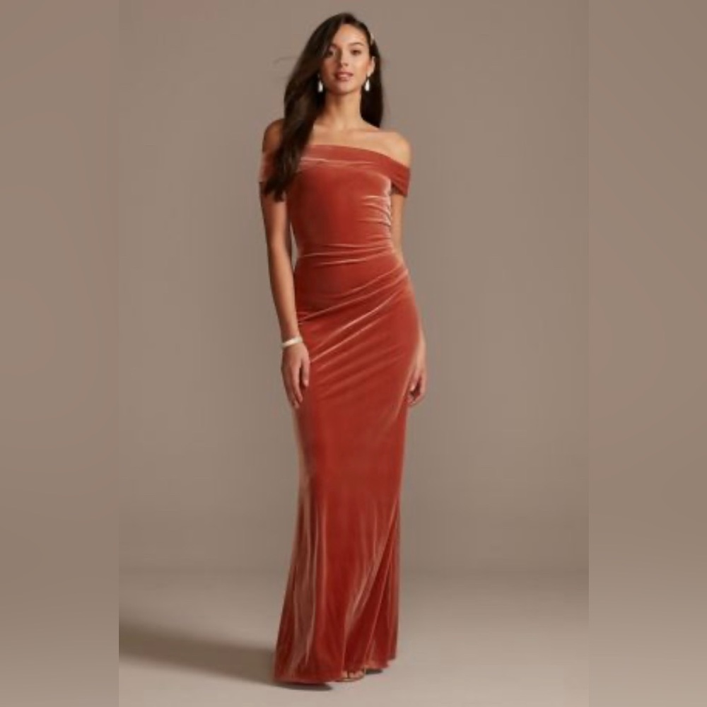 David's Bridal Velvet Rust Orange Dress Sz 10